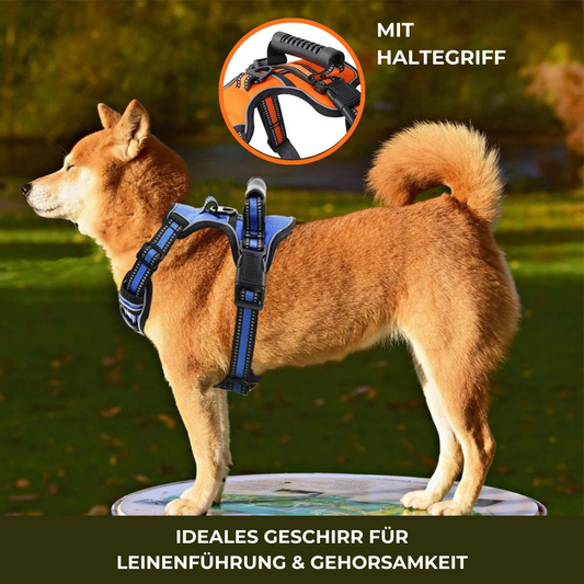 Robustes Hundegeschirr mit Haltegriff - perfekte Kontrolle für unterwegs
